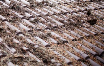 Beanhill roof cleaning companies